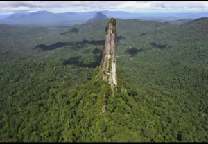 Read more about the article Desa Tumbang Anoi: Menolak Sawit & Tambang, Membangun Ekonomi Berkelanjutan Berbasis Budaya Dayak